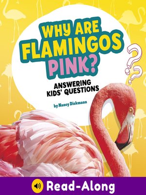 cover image of Why Are Flamingos Pink?